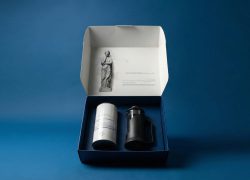 Hebemys Box (2)