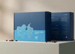 New GiftBox (2)